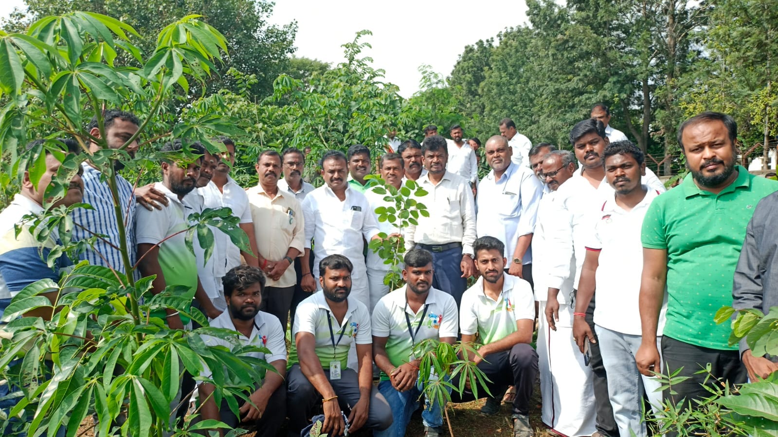 Volunteers and officials at a tree plantation drive