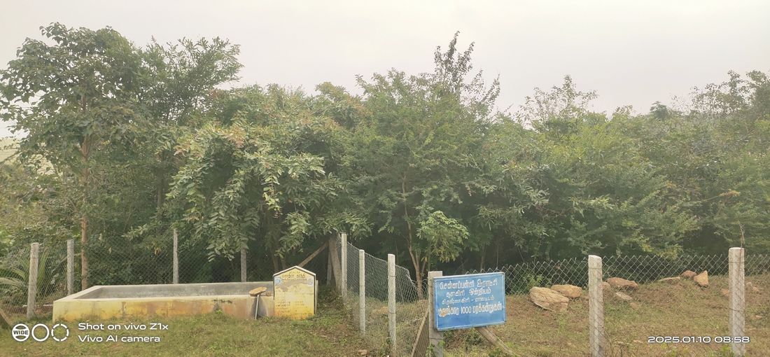 Chennappalli Miyawaki Modi Granite