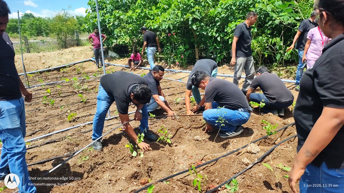 World Environment Day plantation OLA