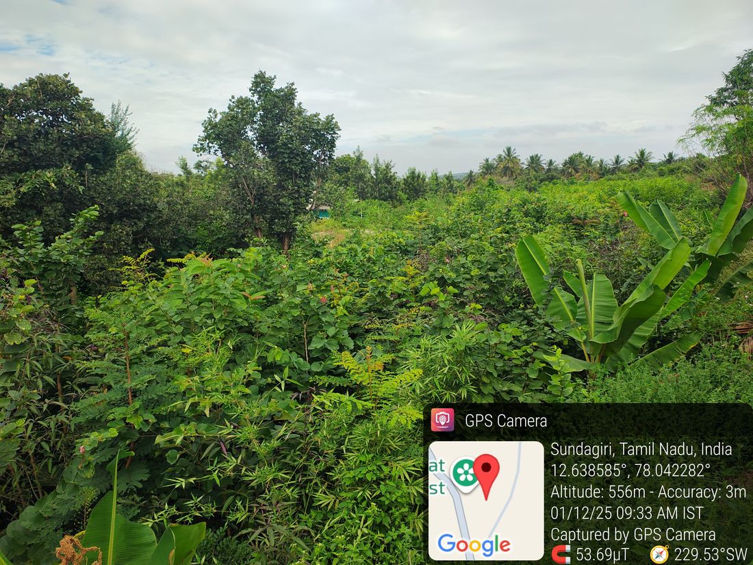 5000 sapling Miyawaki Chennappalli